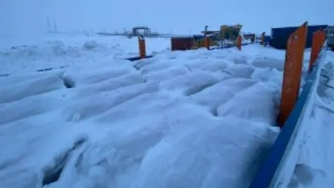Фото: предоставлено пресс-службой Пограничного управления ФСБ РФ по западному арктическому району