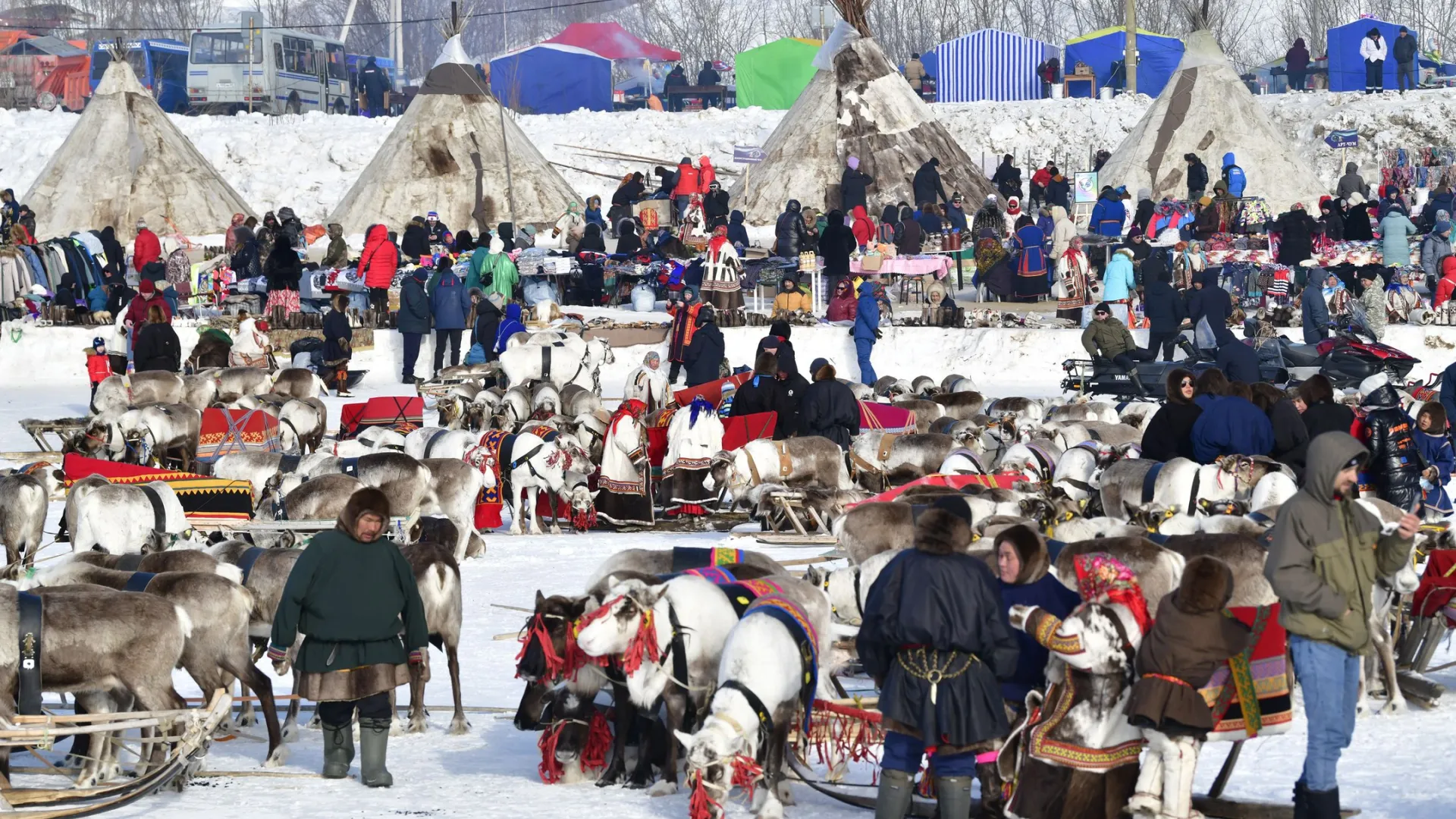 День оленевода привлекает туристов из разных регионов страны. Фото: Андрей Ткачев / «Ямал-Медиа»
