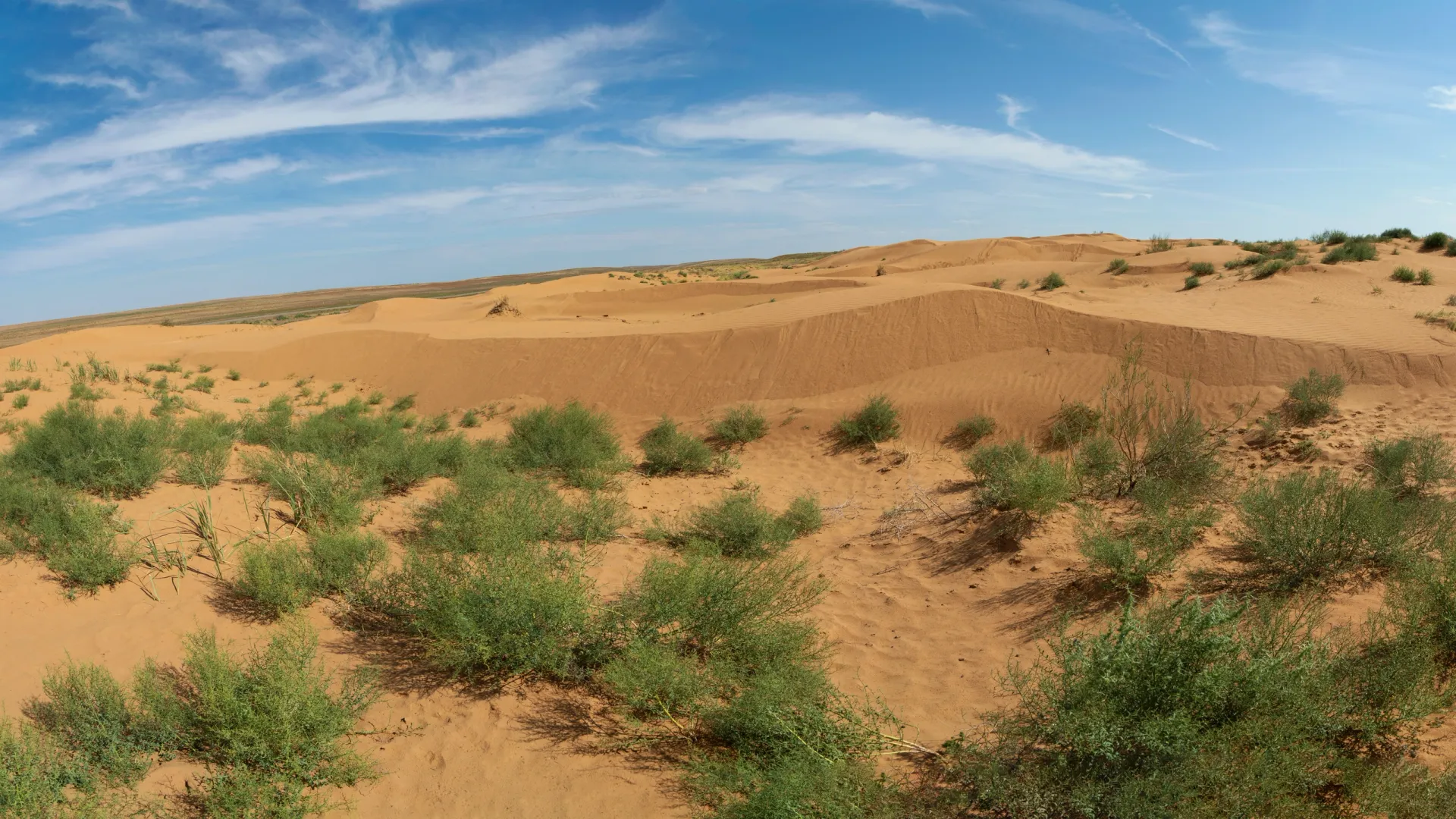 Недалеко от Херсона есть своя «Сахара». Фото: hushonok/Shutterstock/Fotodom