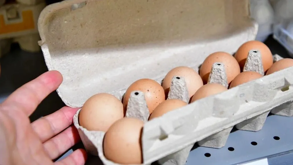 Магазинам рекомендовали сдерживать цены на яйца. Фото: Андрей Ткачев / «Ямал-Медиа»