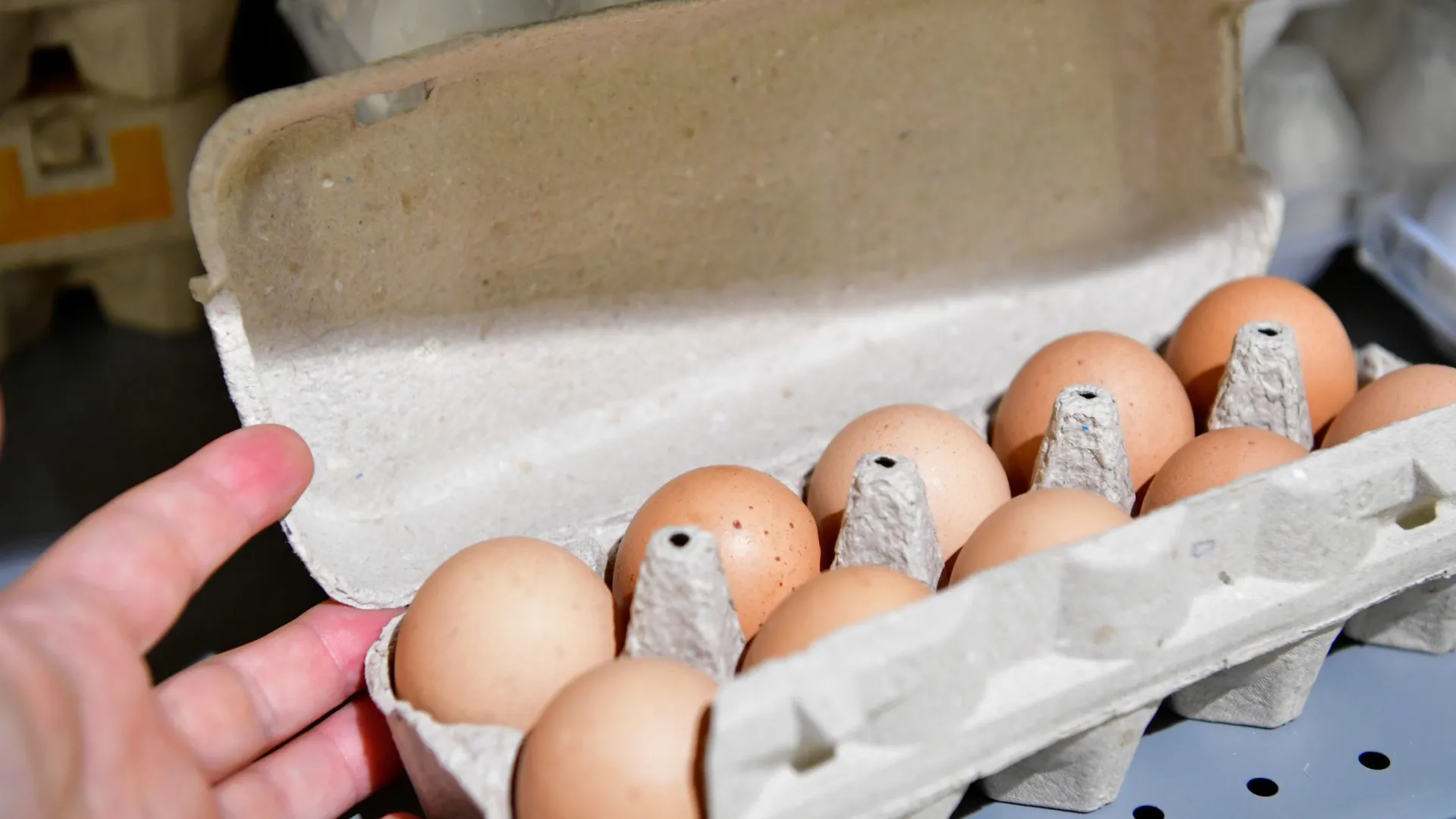 На Ямале яйца начали дешеветь еще в январе. Фото: Андрей Ткачев / «Ямал-Медиа»