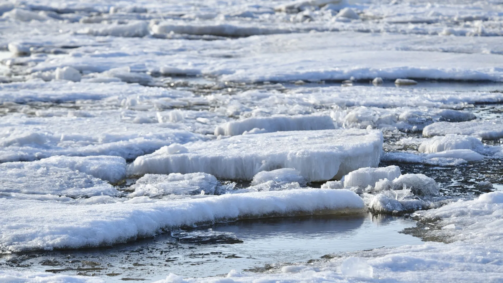 В этом году на Ямале была затяжная весна, поэтому вода не поднималась быстро. Фото: Андрей Ткачев / «Ямал-Медиа»