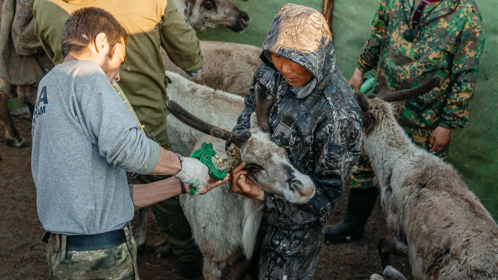 Фото: Юлия Чудинова / «Ямал-Медиа»