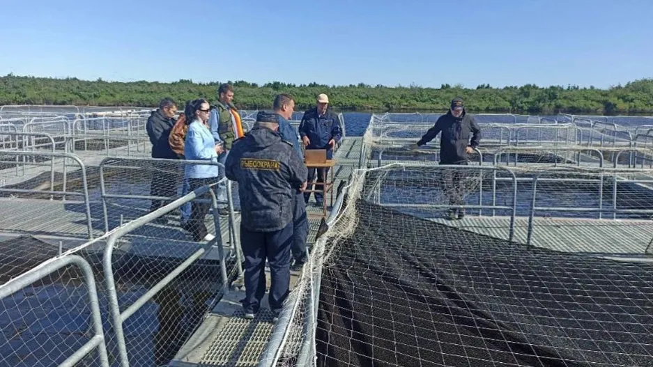 Фото: предоставлено пресс-службой губернатора ЯНАО