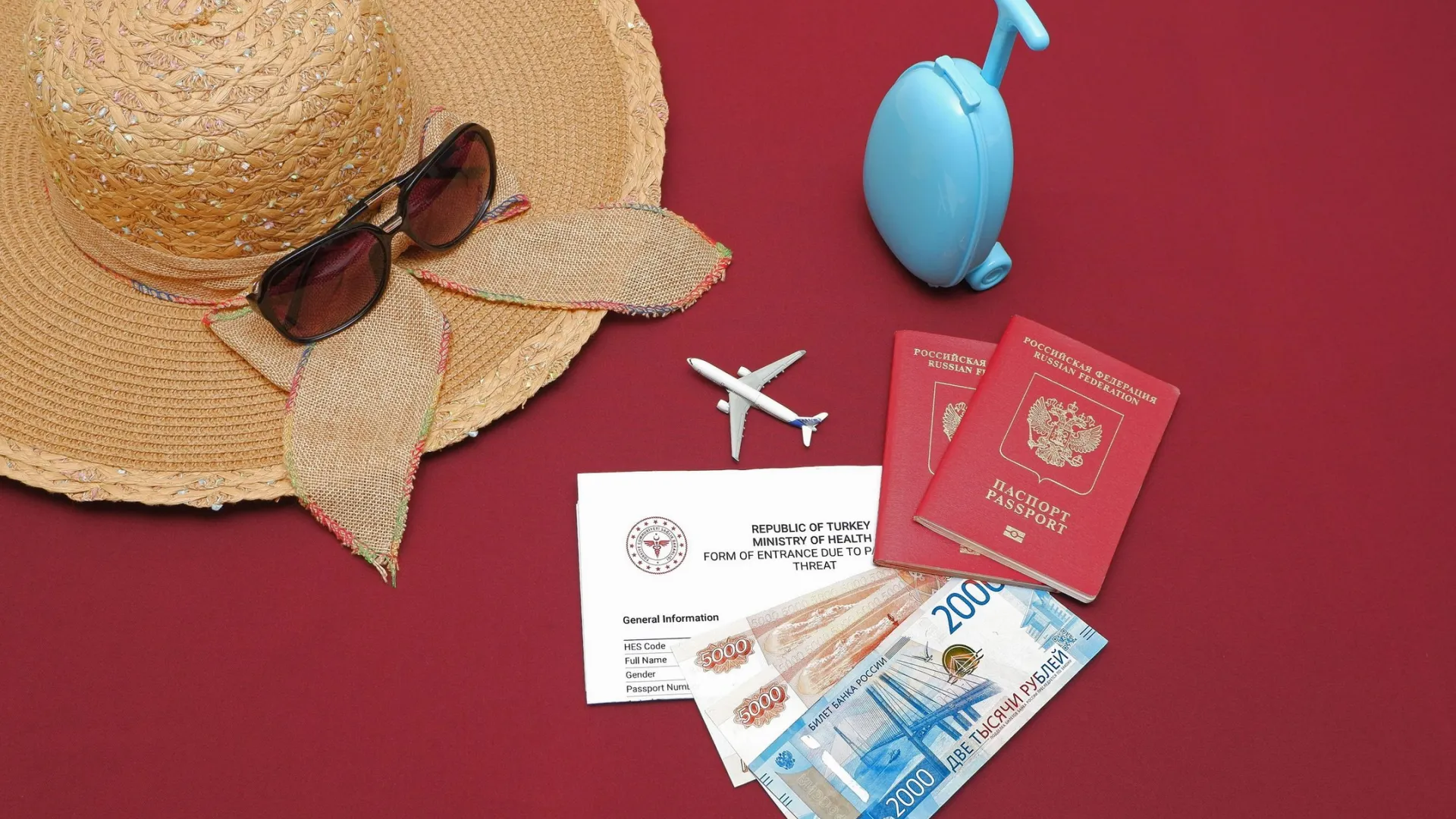 Но для получения электронной визы нужно будет заплатить сервисный сбор. Фото: TsibaevAlex/Shutterstock/Fotodom