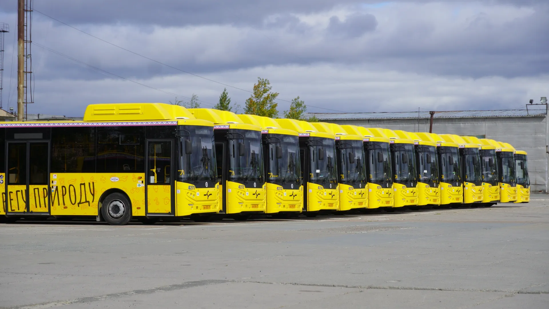 Автобусы поступят уже в феврале. Фото: Юлия Чудинова/«Ямал-Медиа»