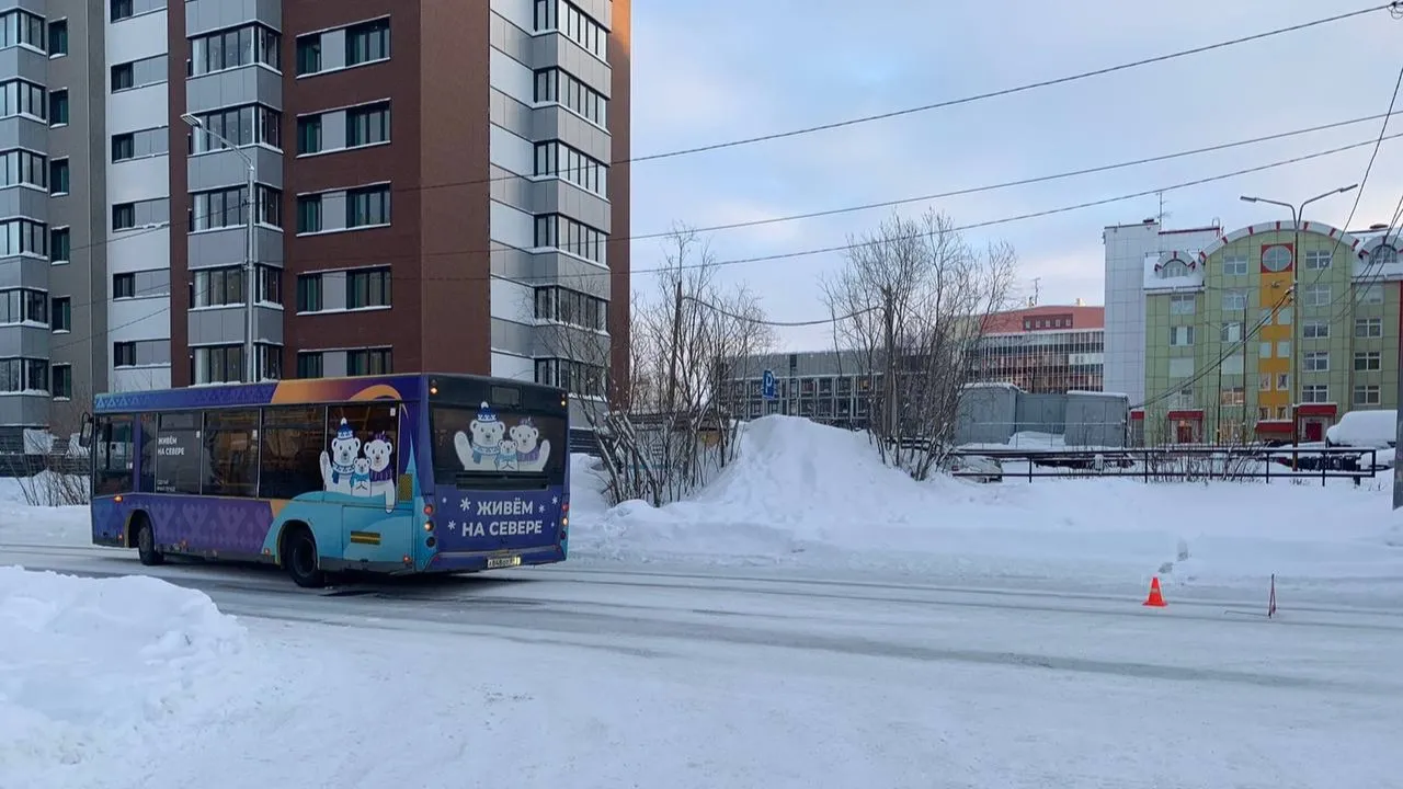 Фото: предоставлено пресс-службой ОГИБДД УМВД России по городу Салехарду