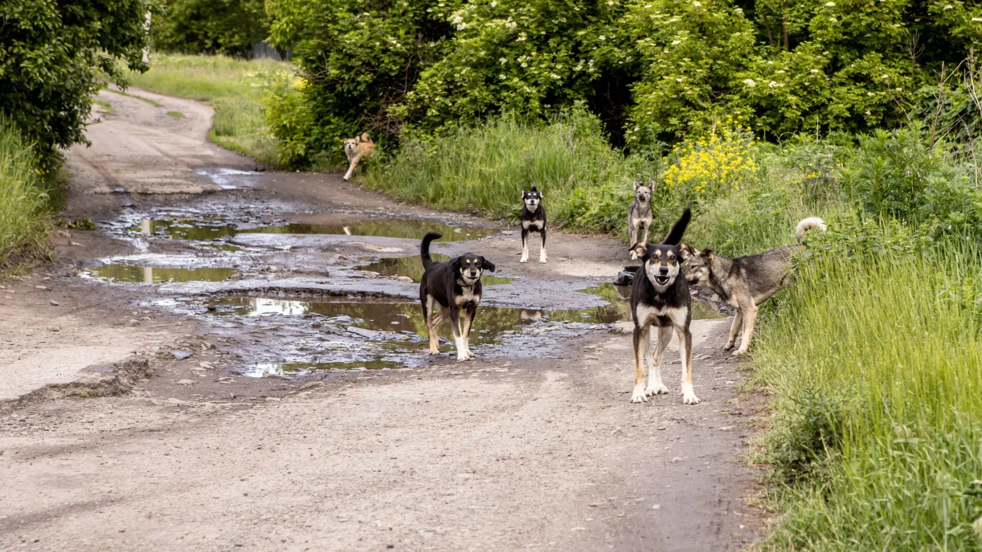 Фото: Katerina Klio / Shutterstock / Fotodom