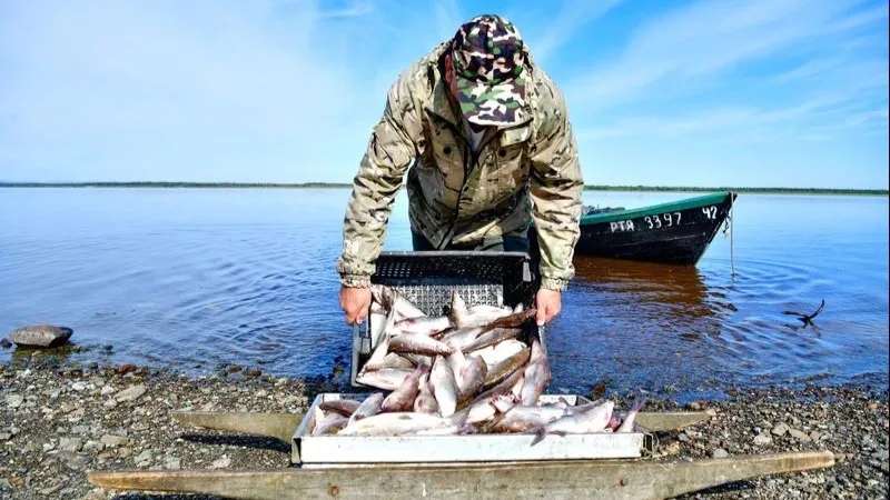 Ямальские реки и озера богаты разнообразной рыбой. Фото: Андрей Ткачев / «Ямал-Медиа»