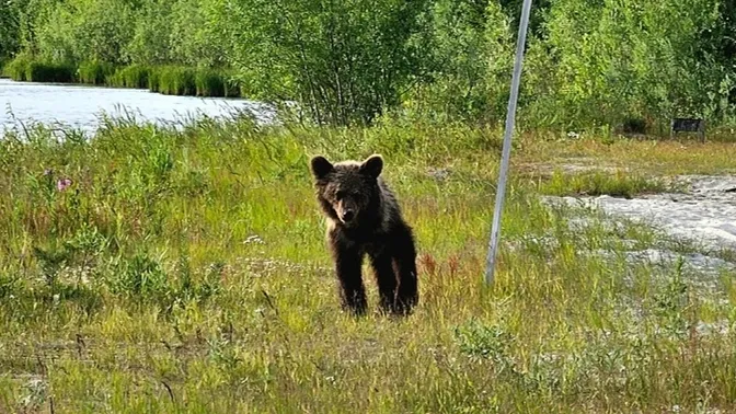 Фото: Айше Джаппарова