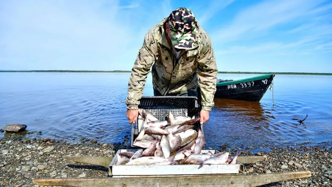 Исследования помогут развитию рыболовства на Ямале. Фото: Андрей Ткачев / «Ямал-Медиа»