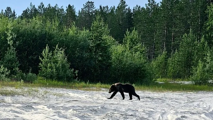 Фото: Айше Джаппарова