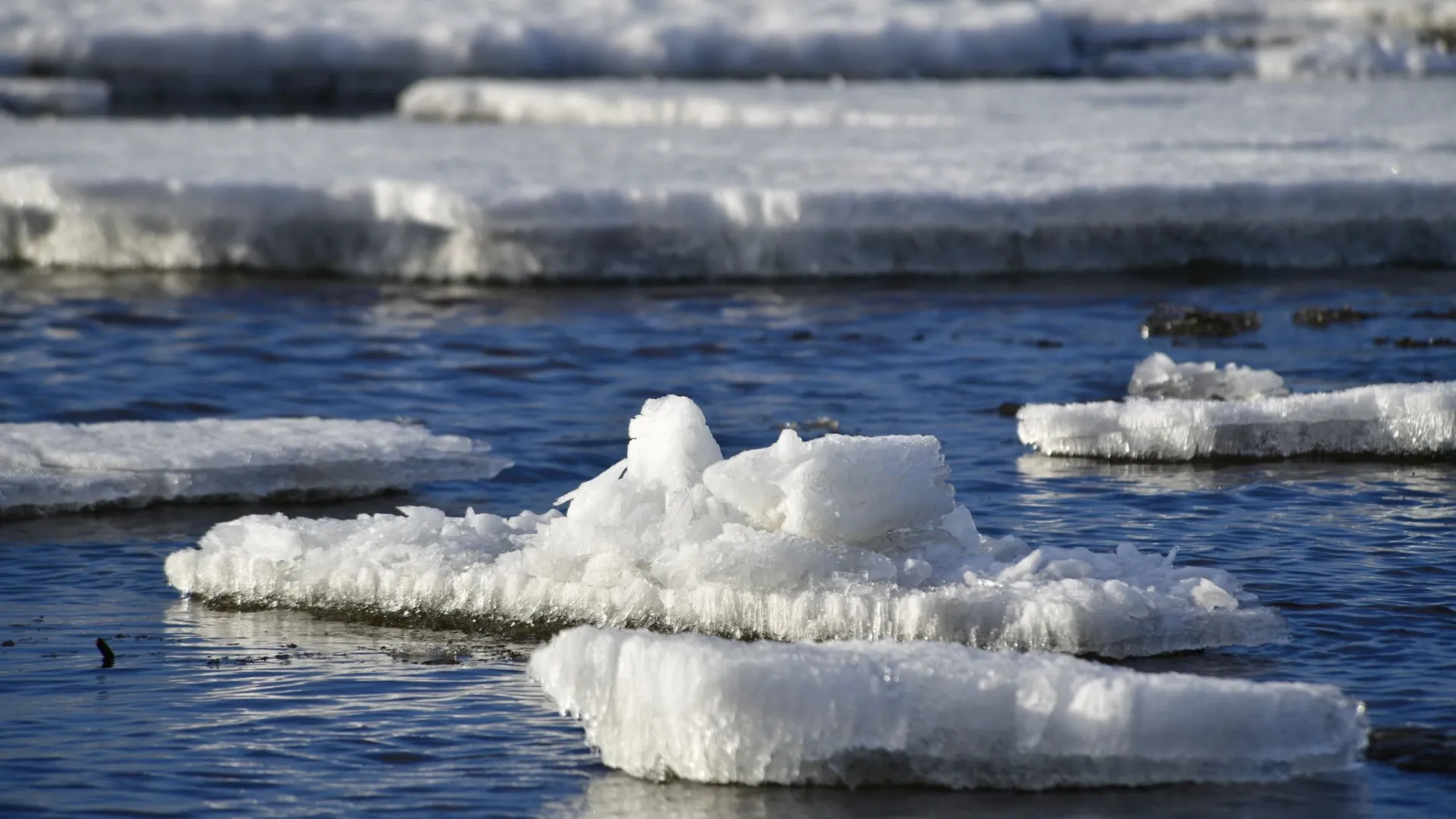 На Ямале первый населенный пункт встретил ледоход. Фото: Андрей Ткачев / «Ямал-Медиа»