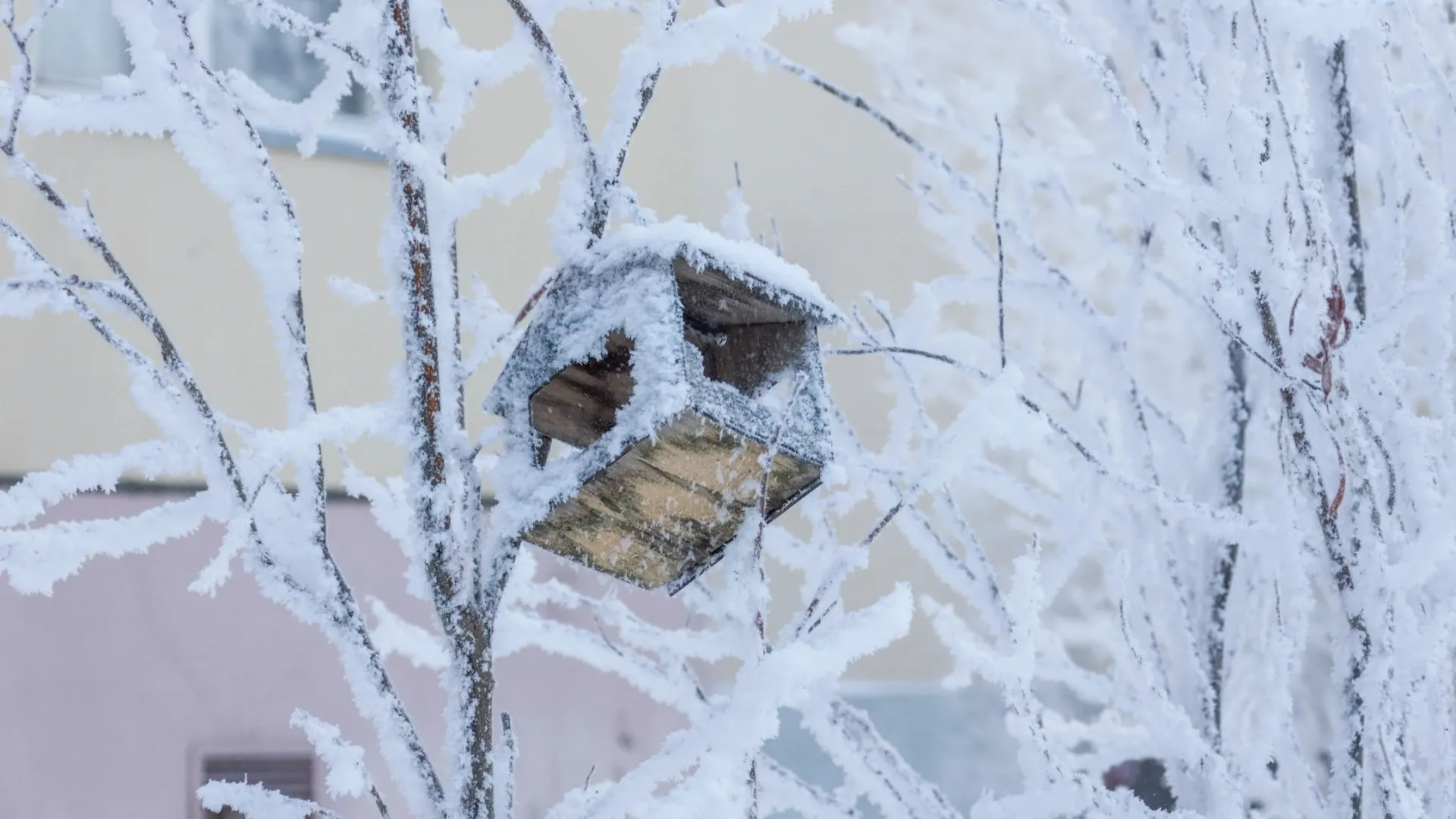 На Ямале похолодает до −25 градусов. Фото: Василий Петров / «Ямал-Медиа»