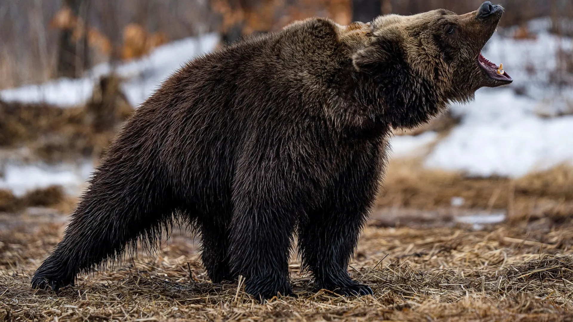 Фото: Andreas Vogel / Shutterstock / Fotodom