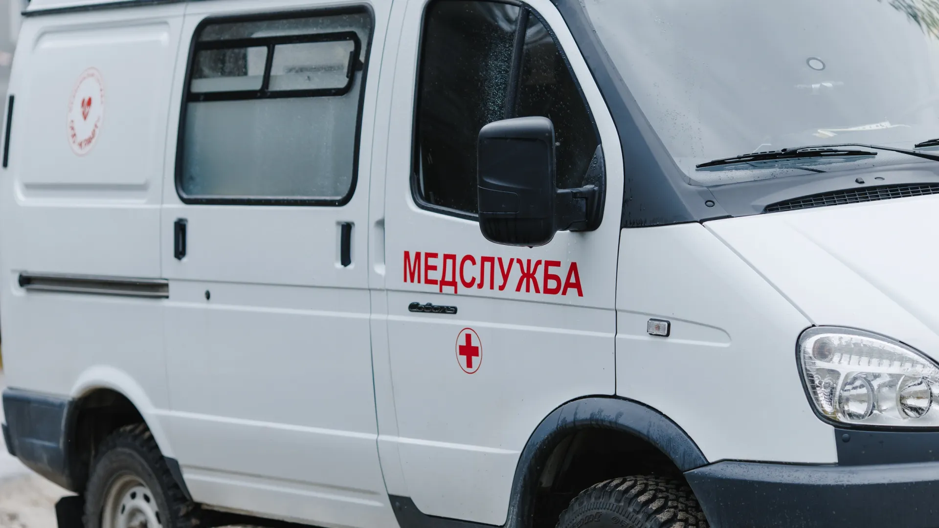 Фото: Алина Дьякова / «Ямал-Медиа»