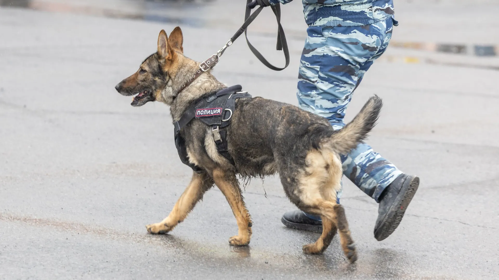 Фото: Александр Чирва / «Ямал-Медиа»