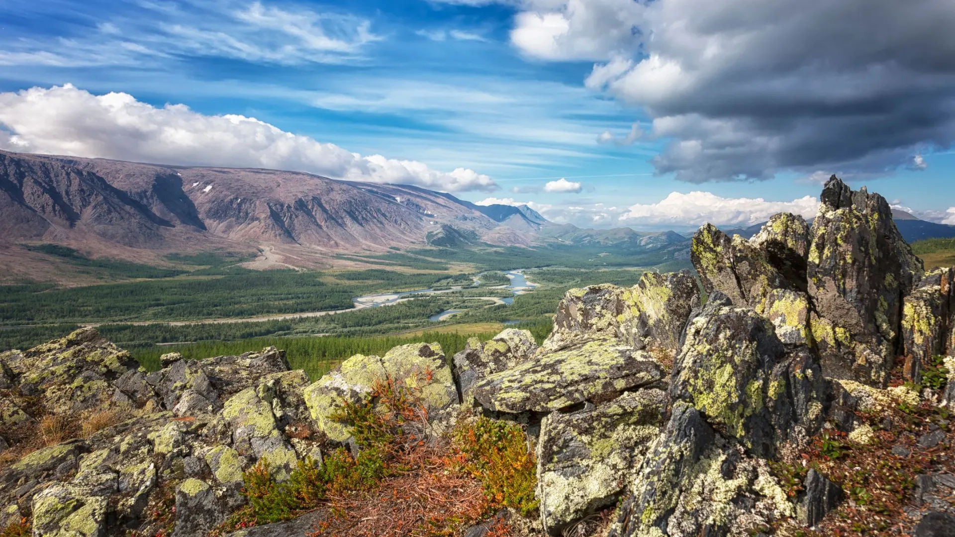 Фото: Shchipkova Elena/Shutterstock/Fotodom