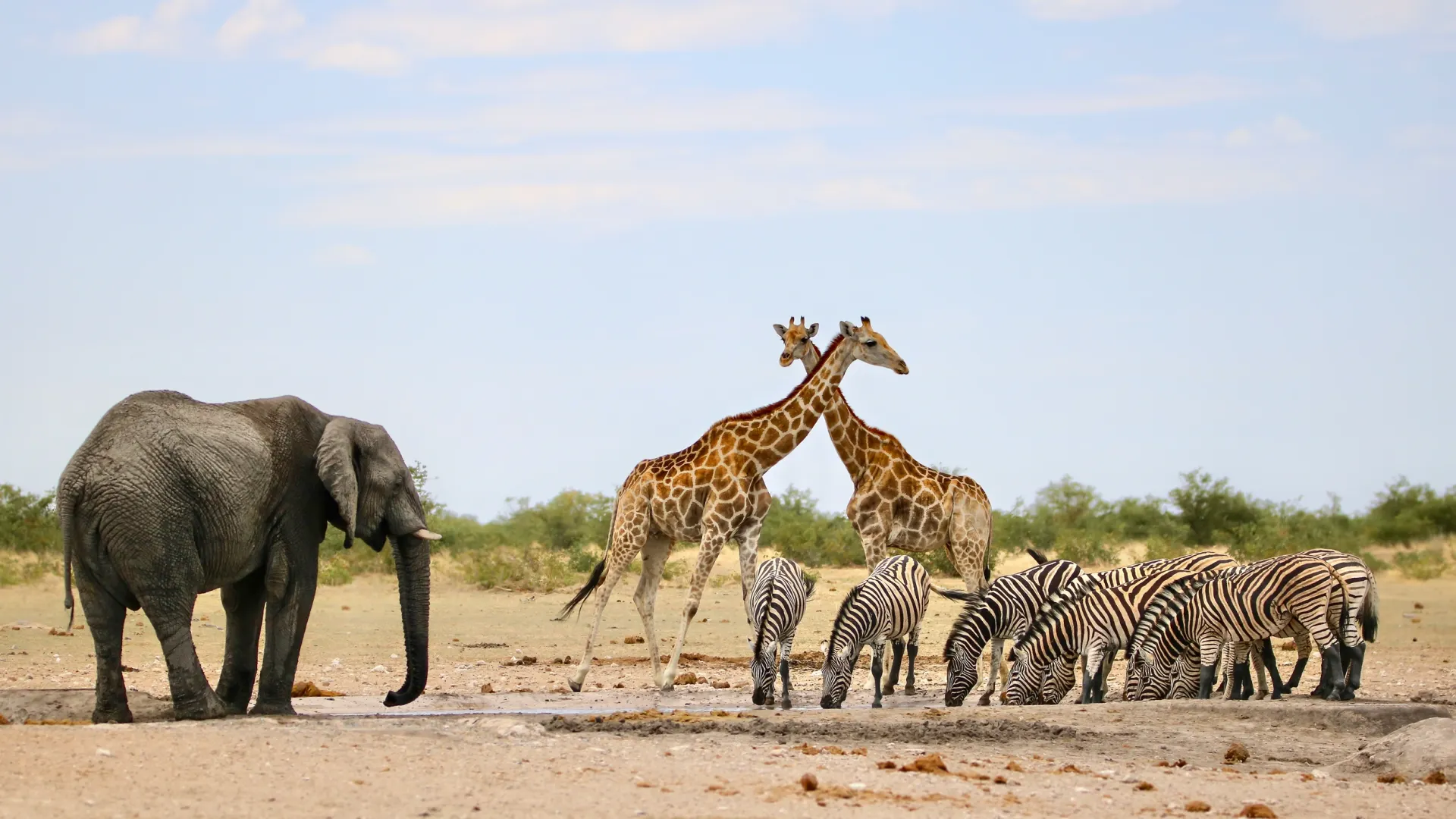 Фото: Photography Phor Phun / Shutterstock / Fotodom