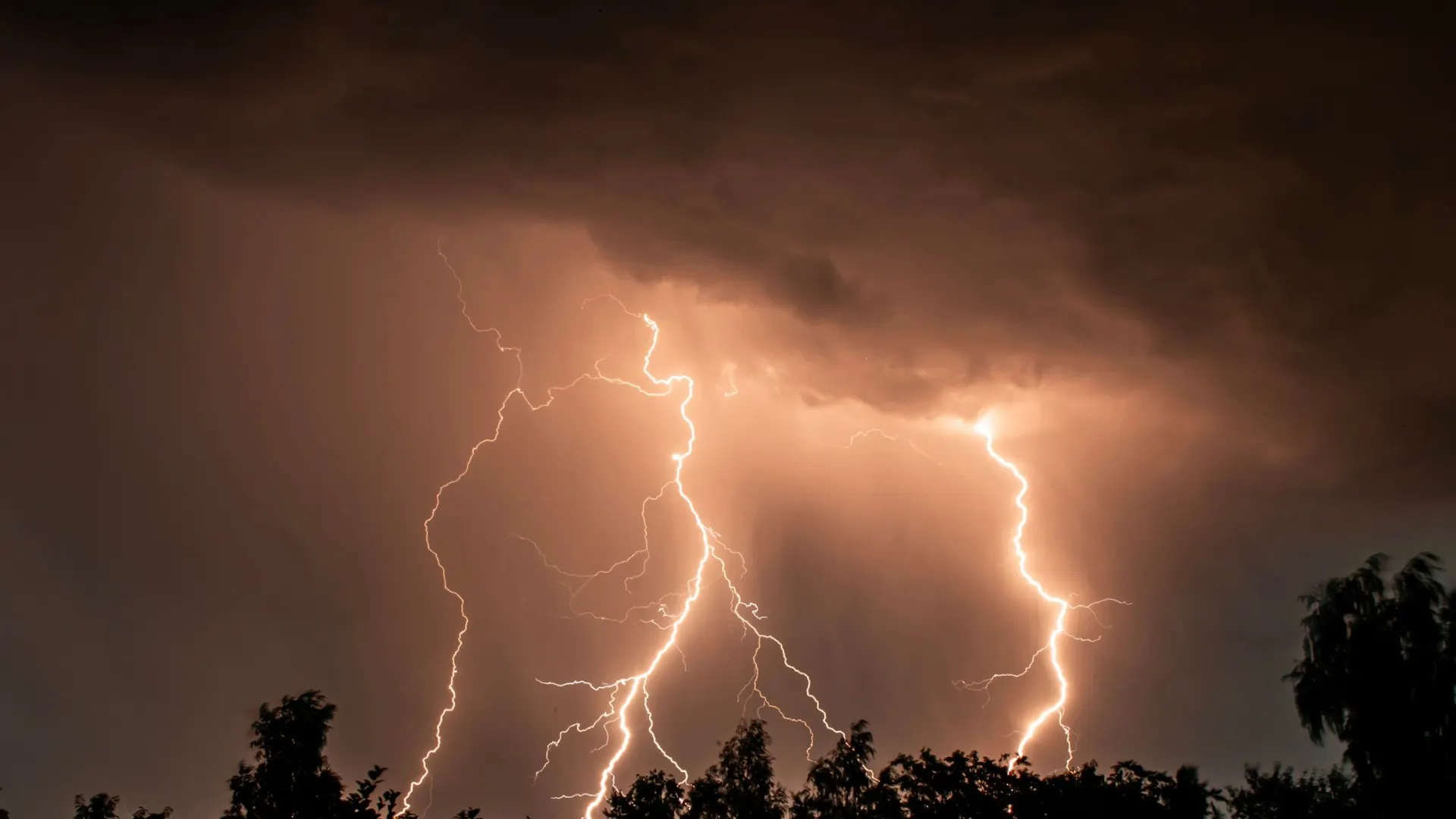 Фото: Denis Torkhov / Shutterstock / Fotodom