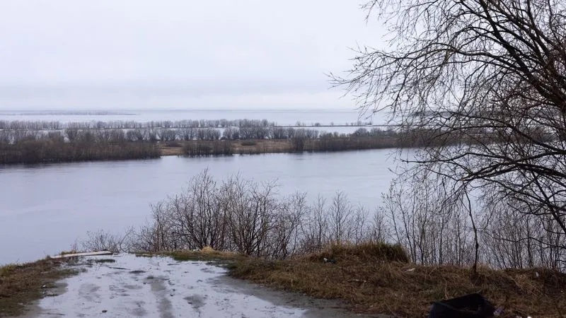 Фото: Федор Воронов / «Ямал-Медиа»