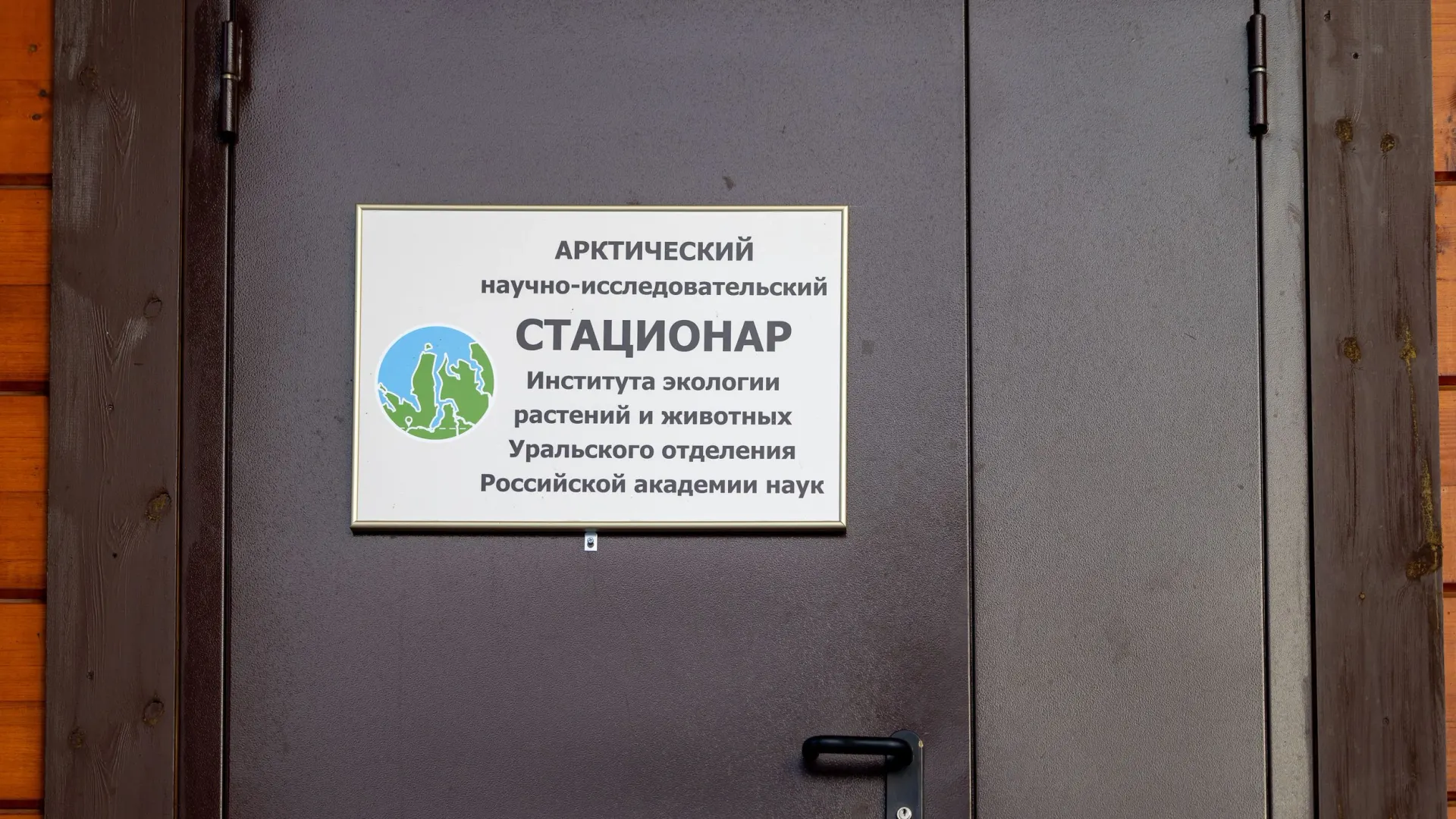 Фото: Федор Воронов / «Ямал-Медиа»