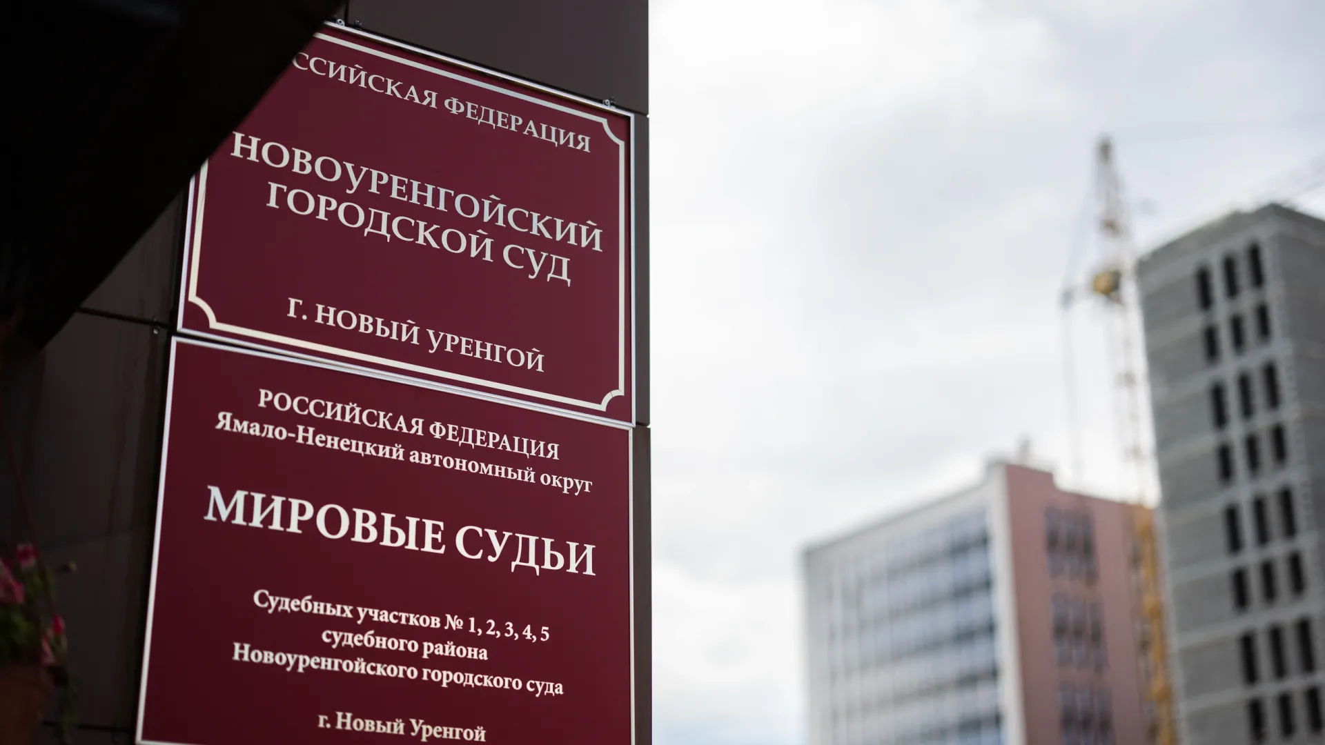 Фото: Юлия Чудинова / «Ямал-Медиа»