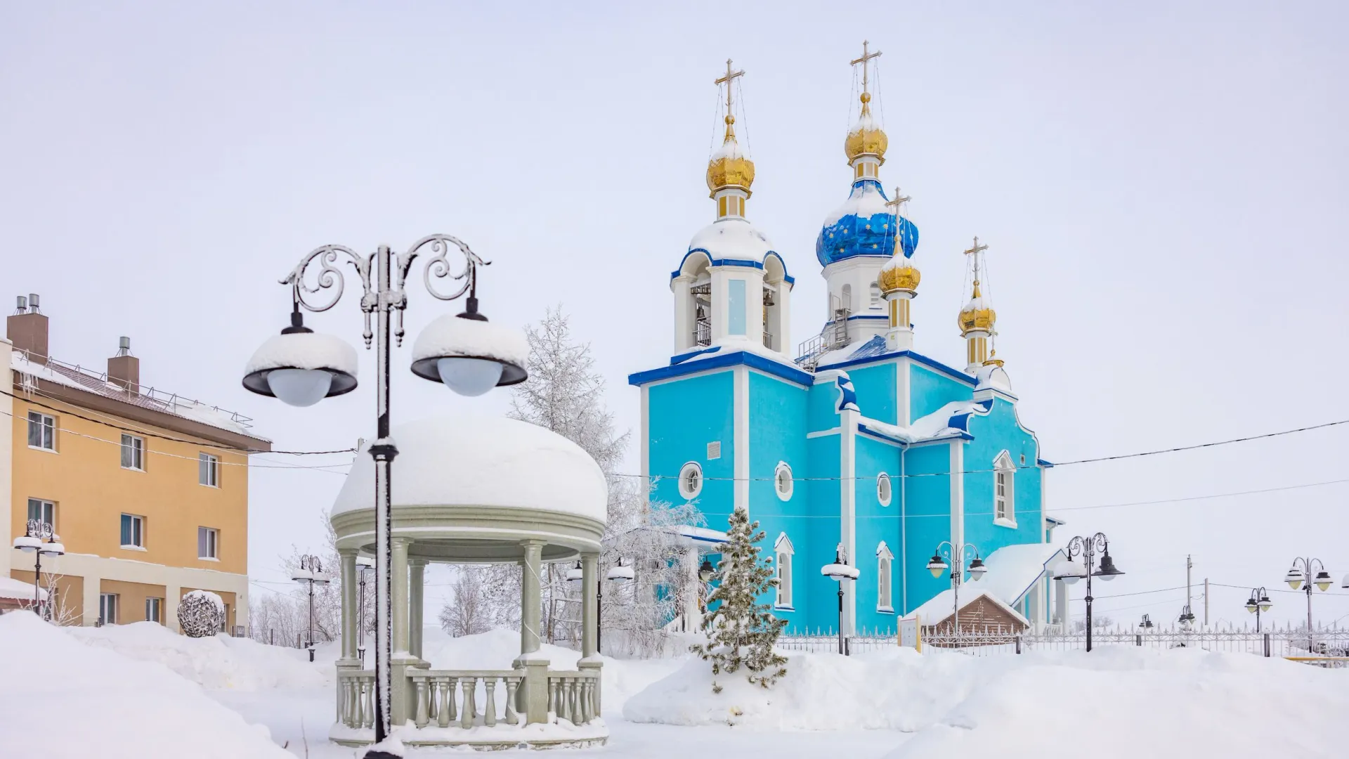 Фото: Федор Воронов / «Ямал-Медиа»