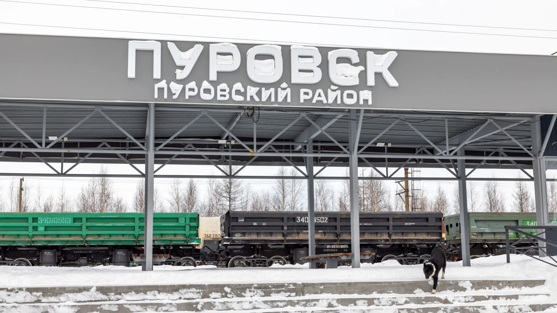 Фото: Федор Воронов / «Ямал-Медиа»