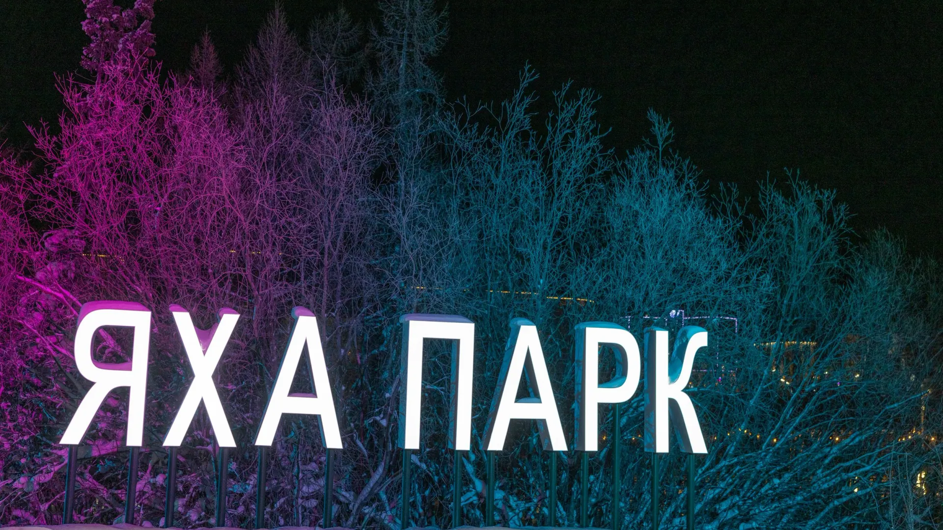 Фото: Федор Воронов / «Ямал-Медиа»