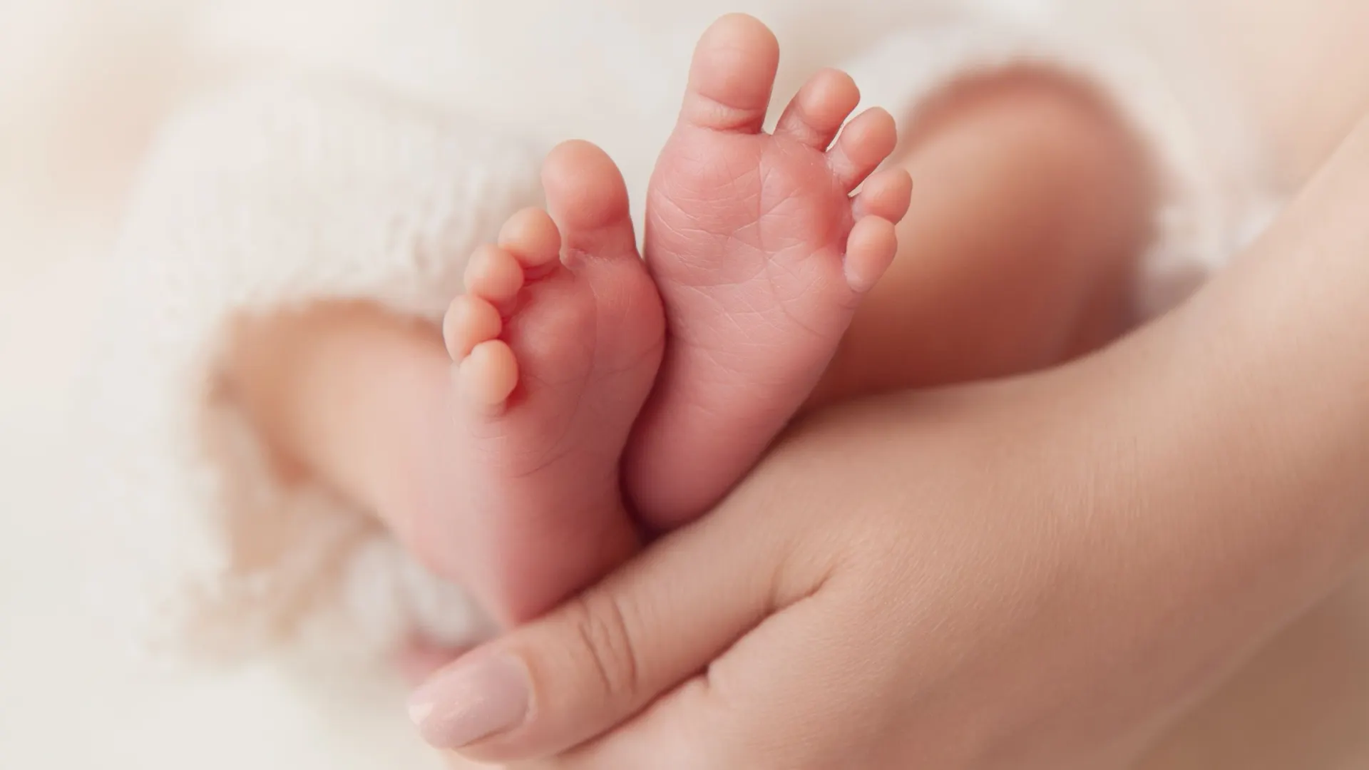 Фото: Inara Prusakova/Shutterstock/Fotodom