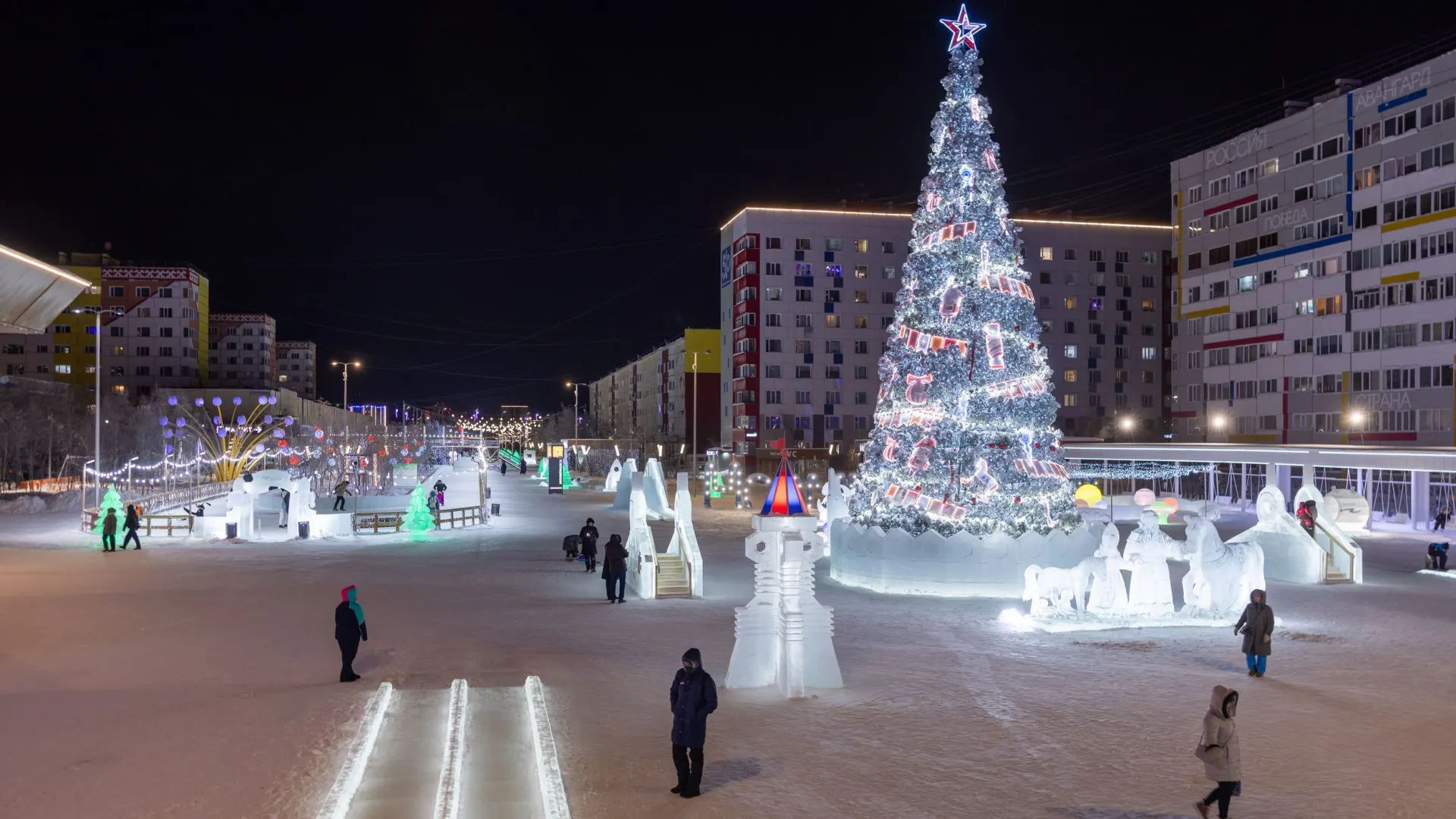 Фото: Федор Воронов / «Ямал-Медиа»