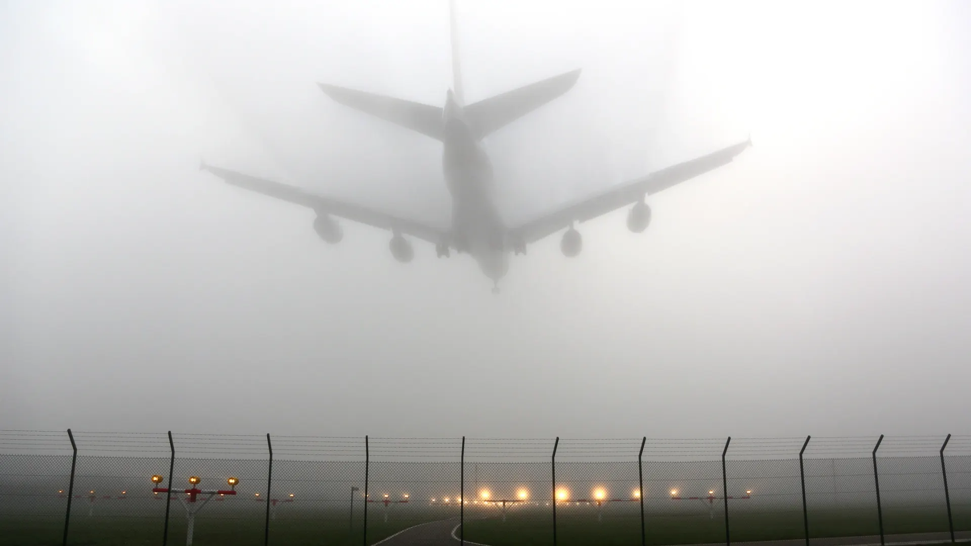 Фото: Fasttailwind/Shutterstock/Fotodom