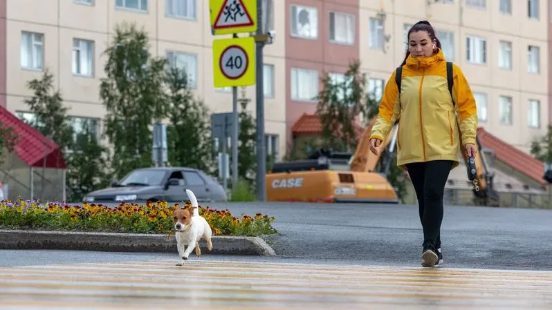 Фото: Федор Воронов / «Ямал-Медиа»