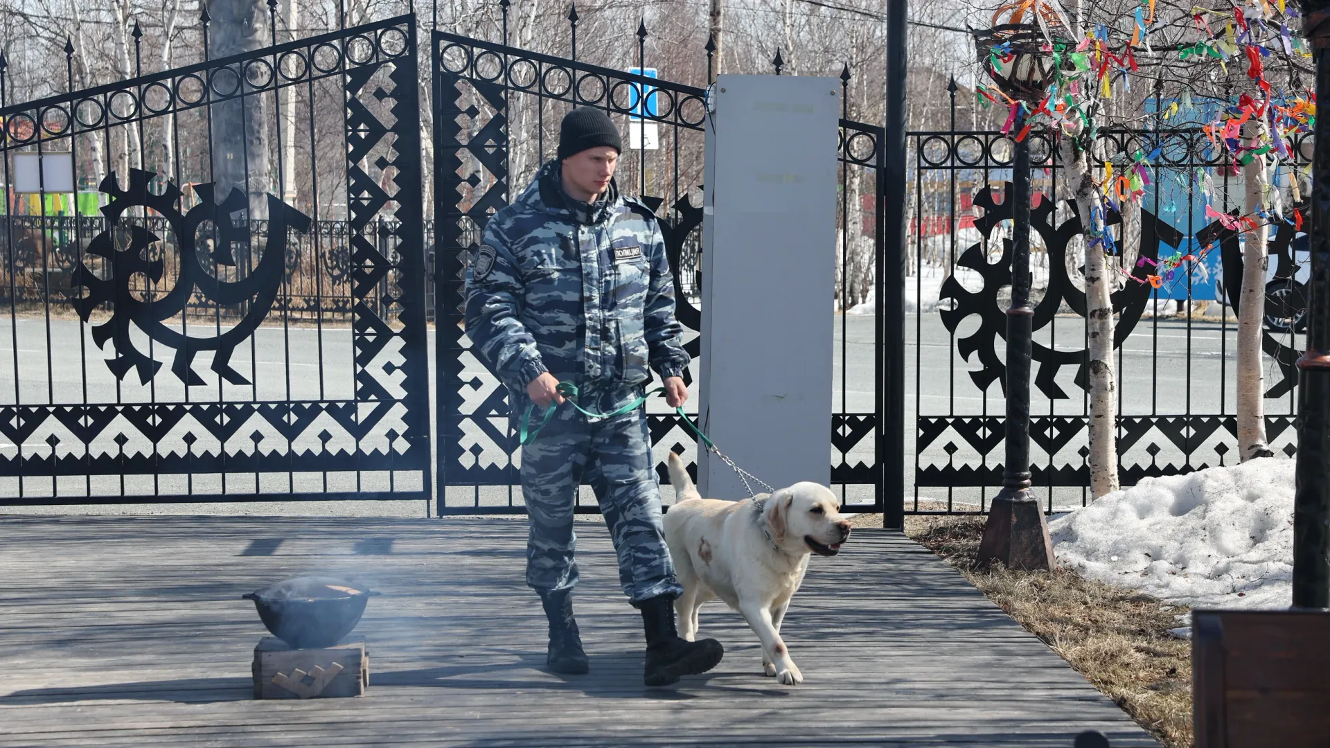 Фото: Андрей Ткачев / «Ямал-Медиа»