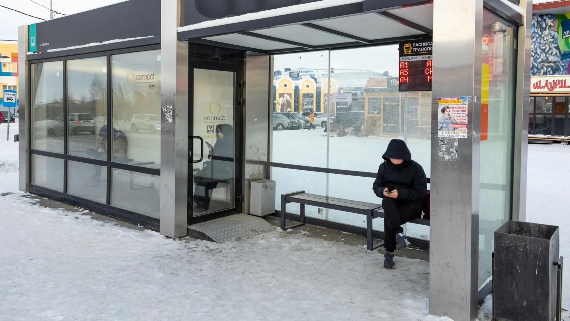 Фото: Василий Петров / «Ямал-Медиа»