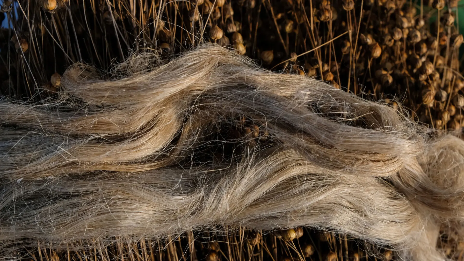 Фото: Ganna Zelinska / Shutterstock / Fotodom