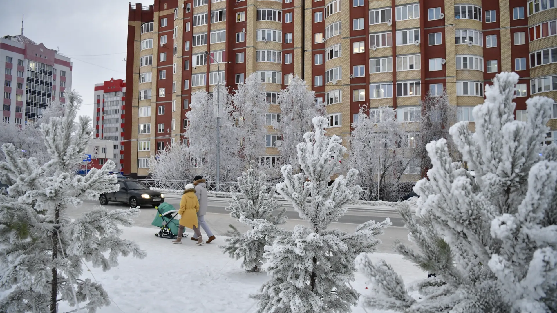 Фото: Андрей Ткачев / «Ямал-Медиа»