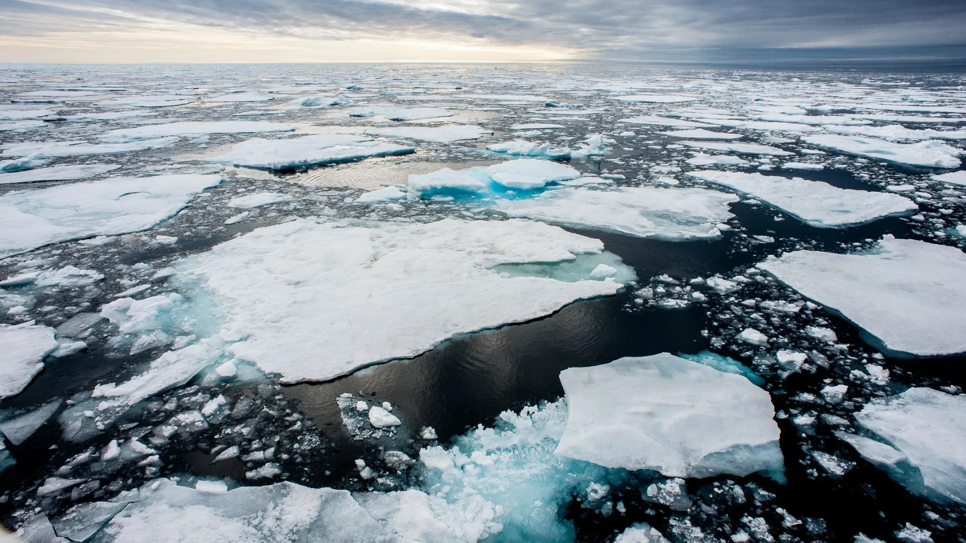 Фото: Tony Skerl/Shutterstock/Fotodom