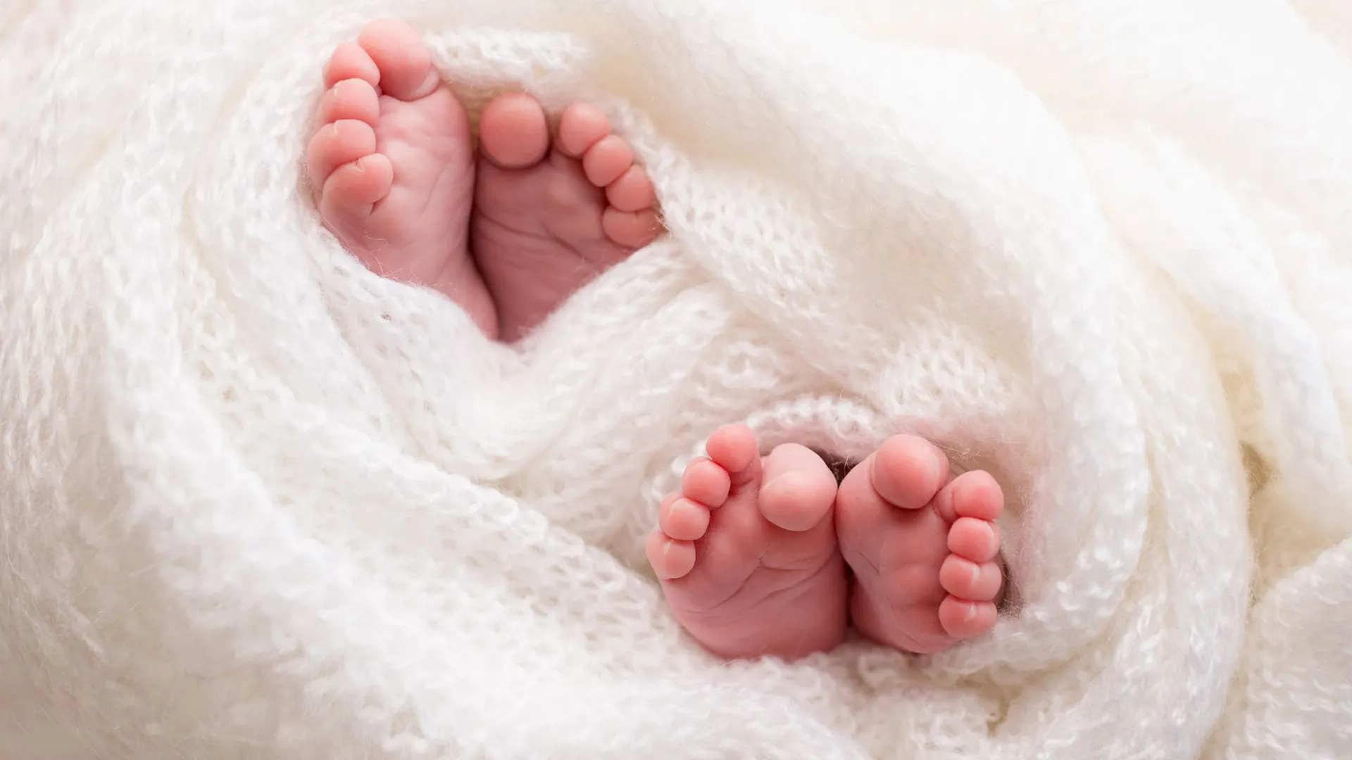 Фото: Vad-Len/Shutterstock/Fotodom