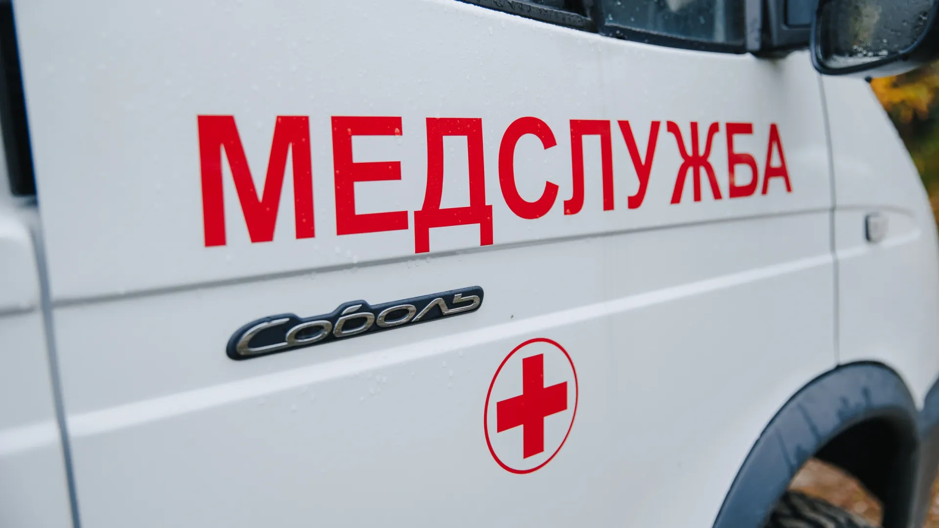 Фото: Алина Дьякова / «Ямал-Медиа»