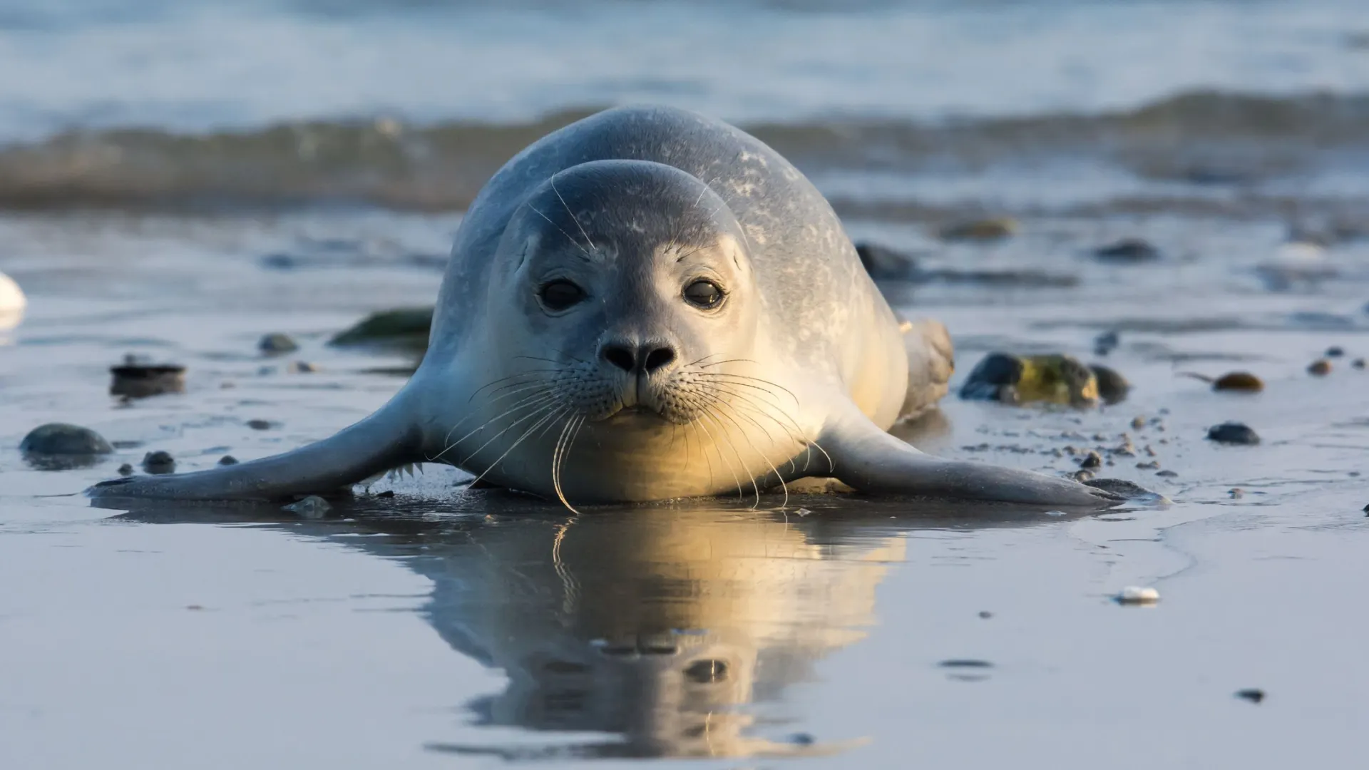Фото: Iwona Fijol/Shutterstock/Fotodom