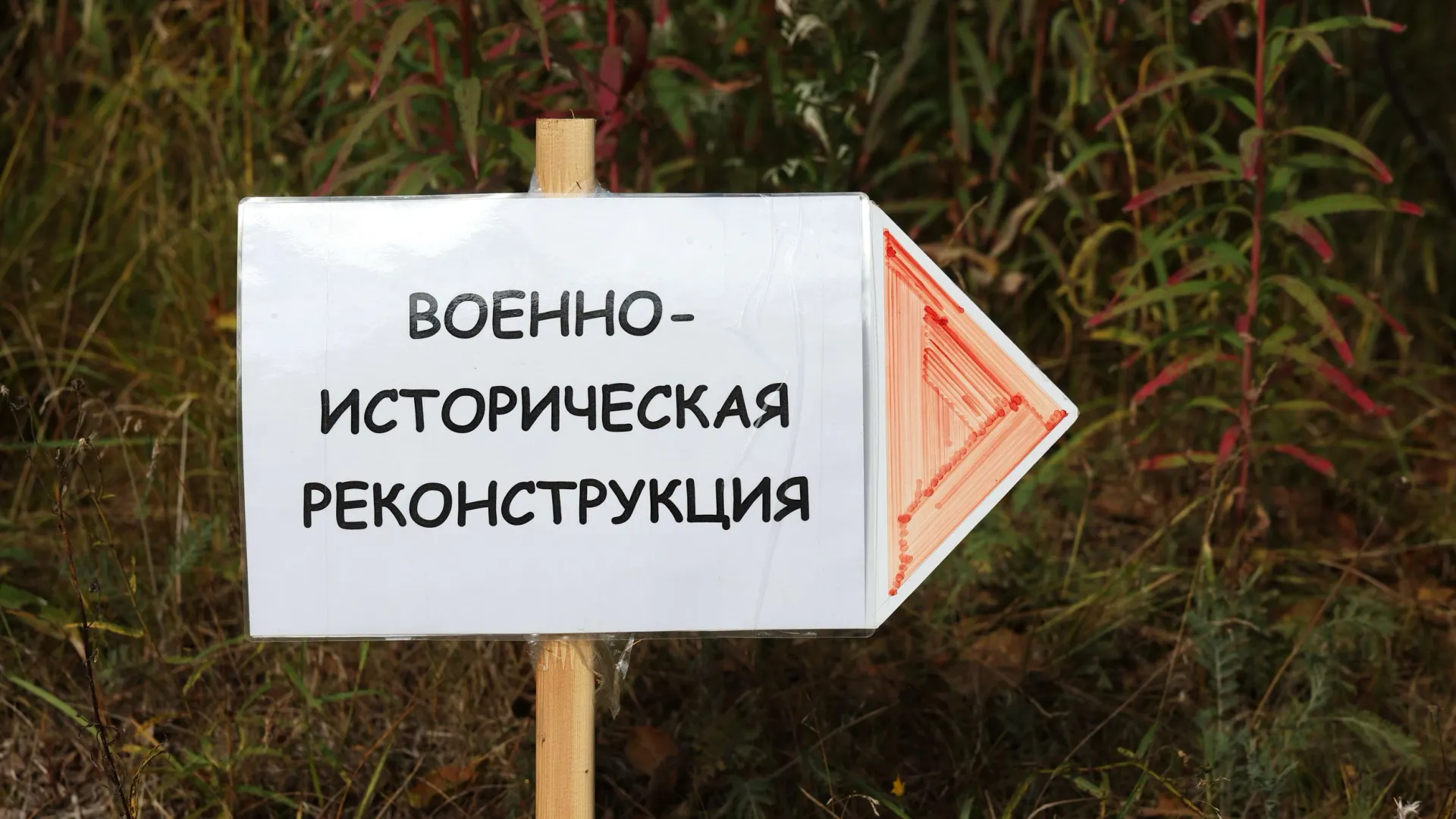 Фото: Андрей Ткачев / «Ямал-Медиа»