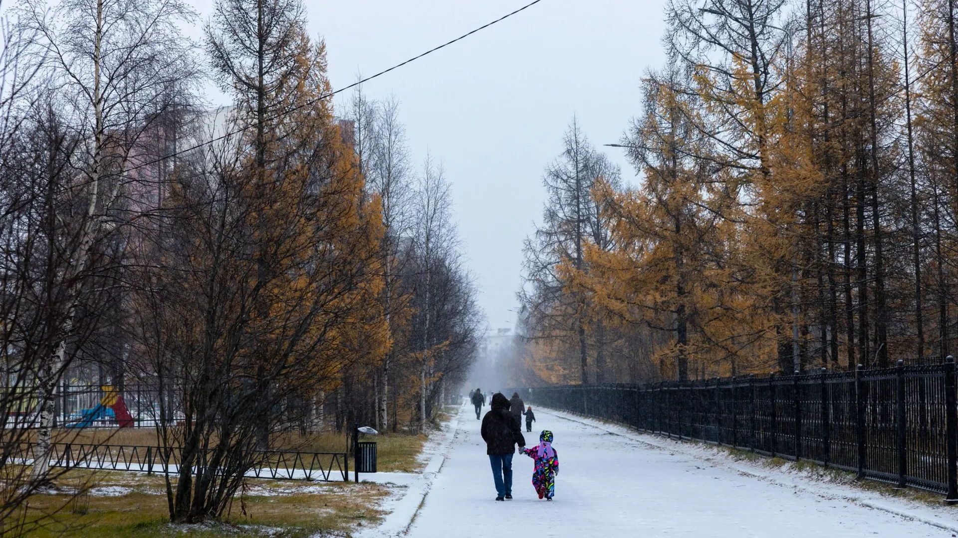 Фото: Сергей Решетов / «Ямал-Медиа»