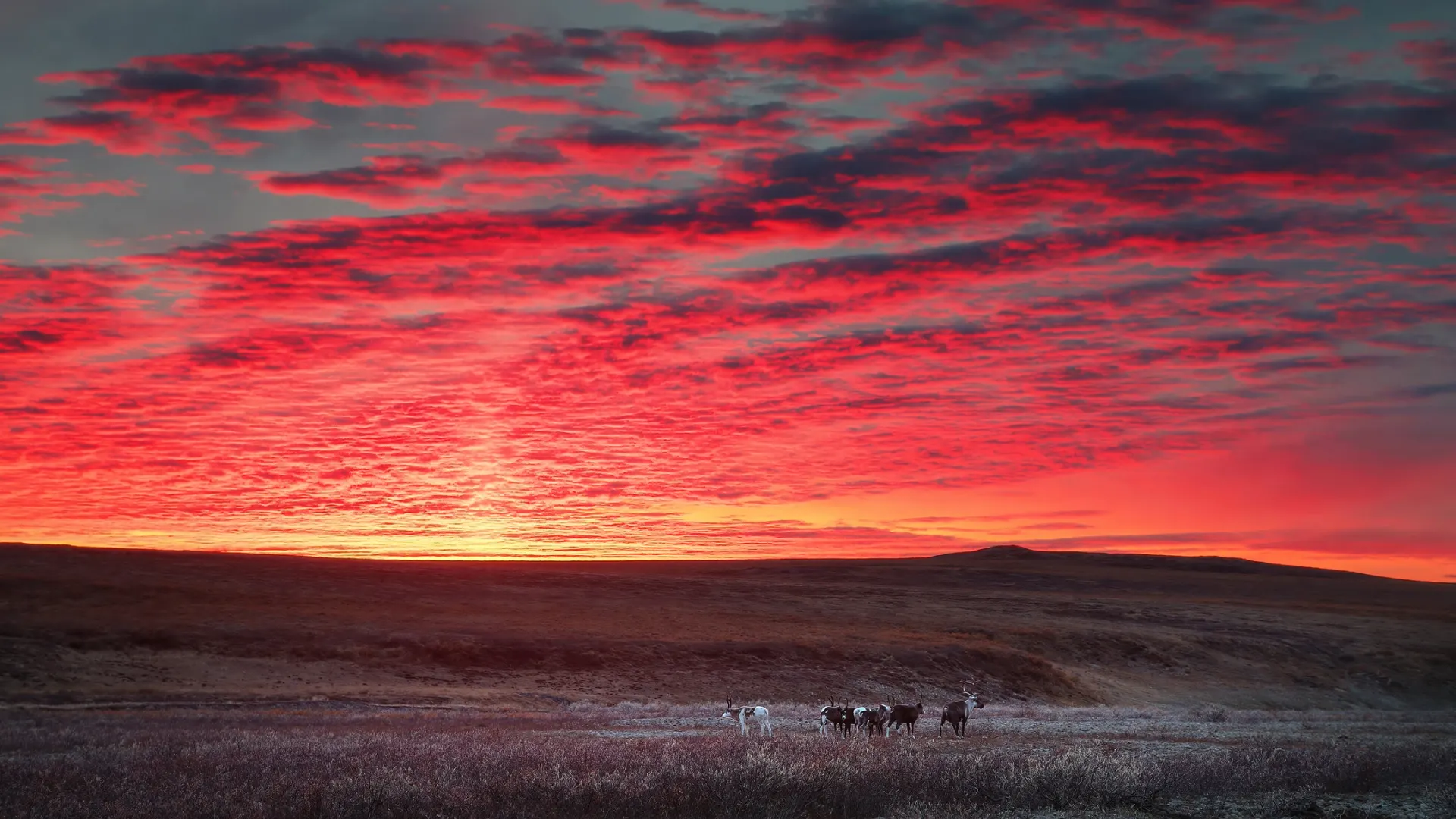 Фото: Andrei Stepanov/Shutterstock/Fotodom