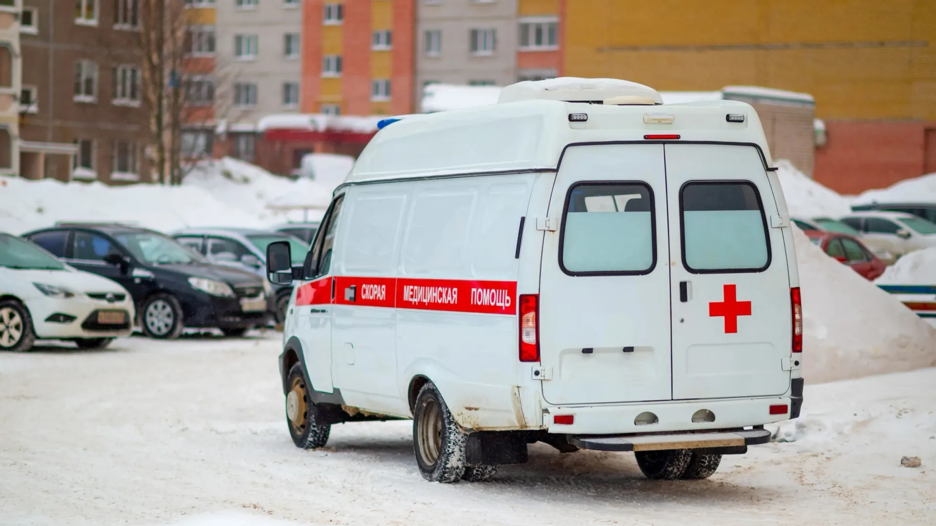 Фото: Evgenii Panov / Shutterstock / Fotodom