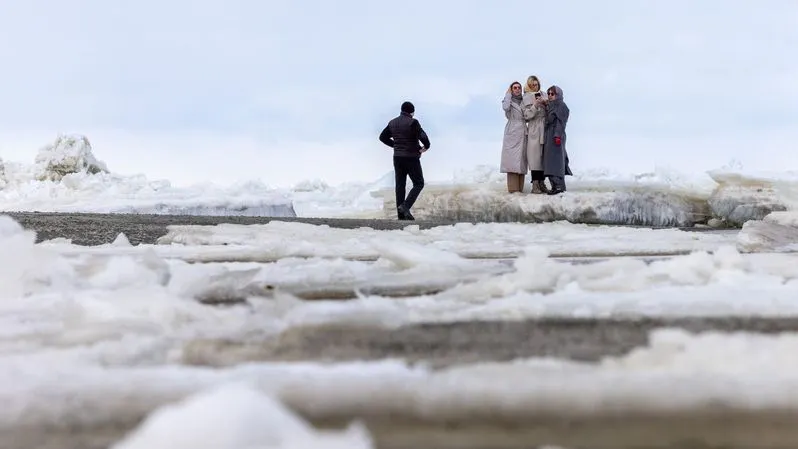 Фото: Федор Воронов / «Ямал-Медиа»