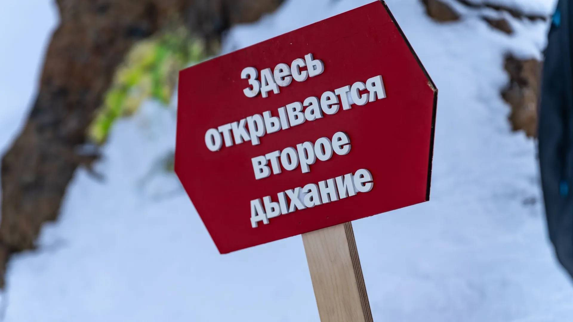Фото: Сергей Зубков / «Ямал-Медиа»