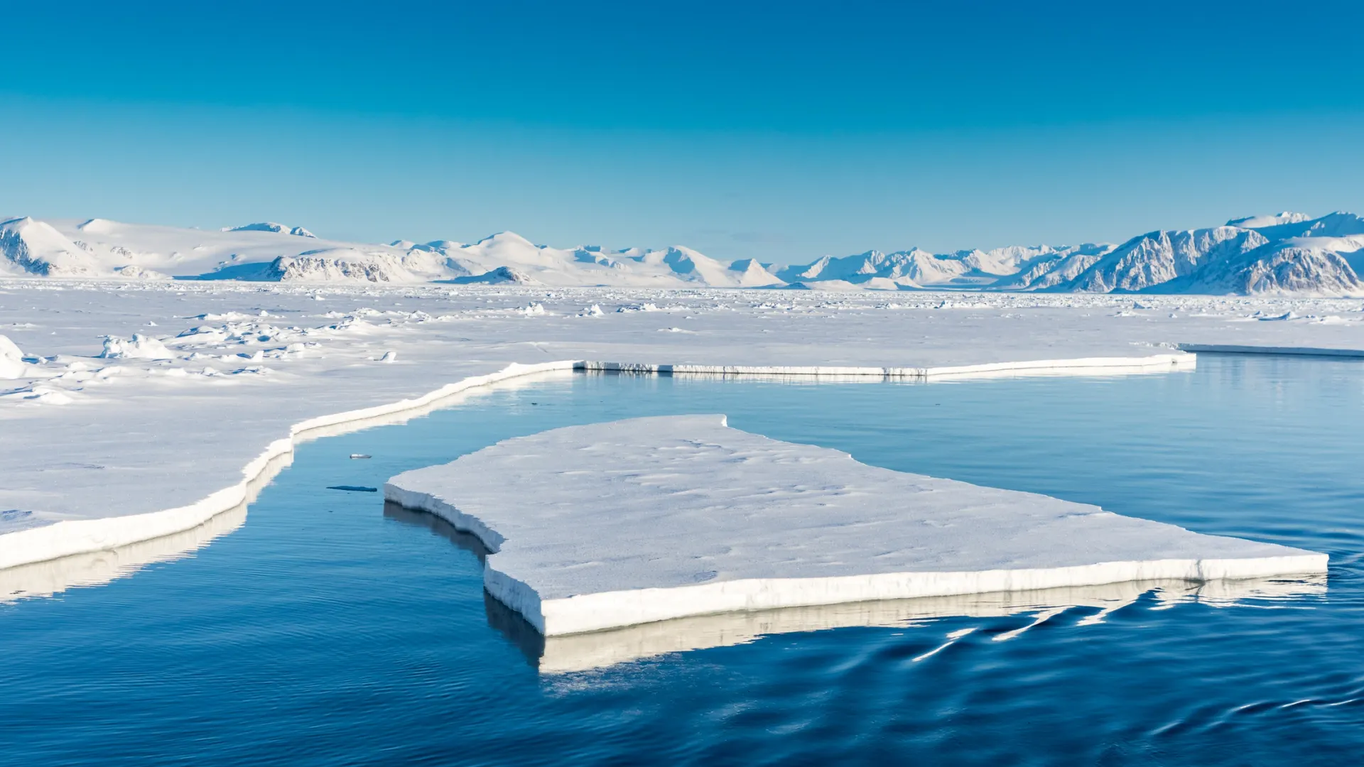 Фото: Risto Raunio /Shutterstock/Fotodom