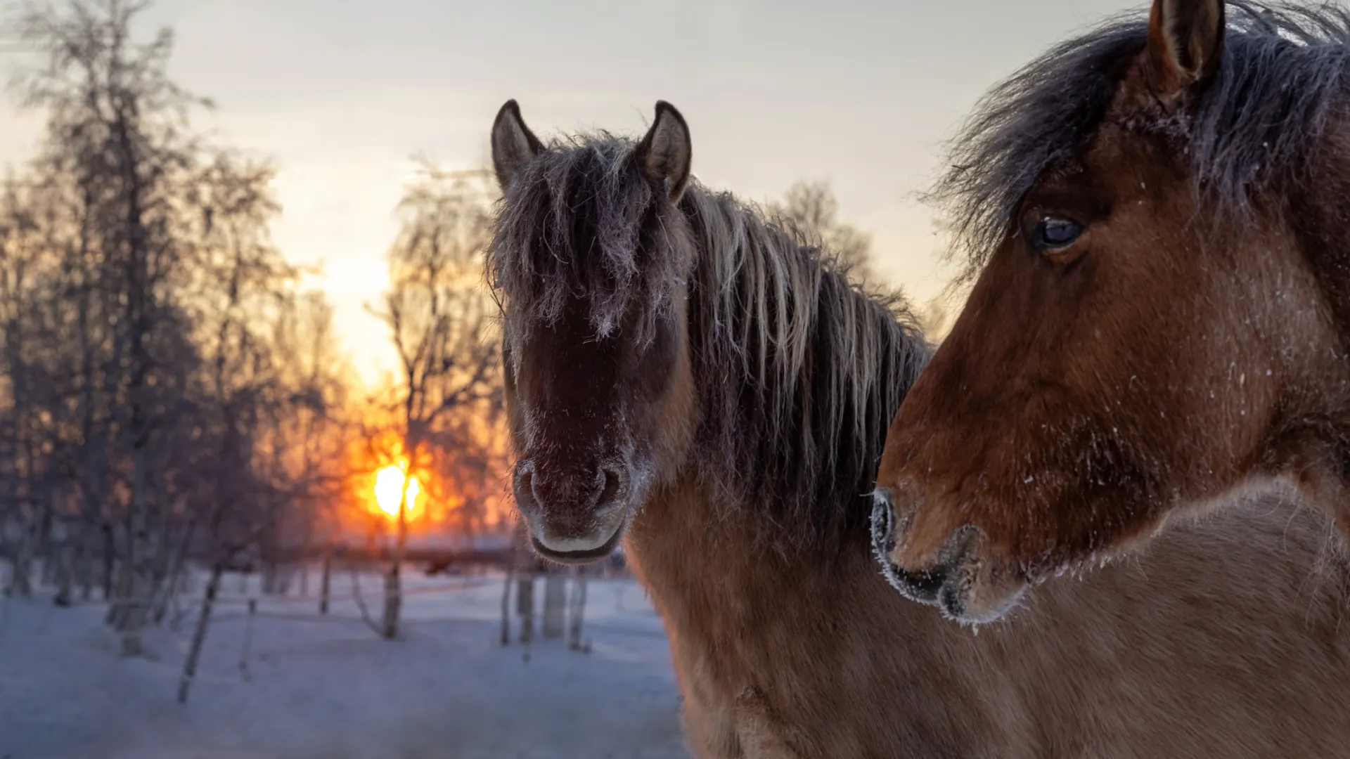 Фото: Федор Воронов / «Ямал-Медиа»